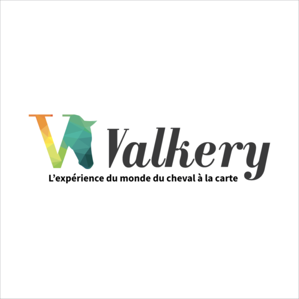 Logo Valkery